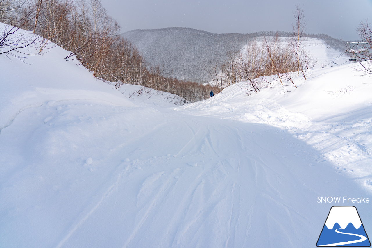 増毛町営暑寒別岳スキー場｜今冬の暑寒別岳は、まるでニセコのような豪雪地帯に！？パウダースノーたっぷりの穴場ゲレンデを滑走～！